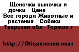 Щеночки-сыночки и дочки › Цена ­ 30 000 - Все города Животные и растения » Собаки   . Тверская обл.,Торжок г.
